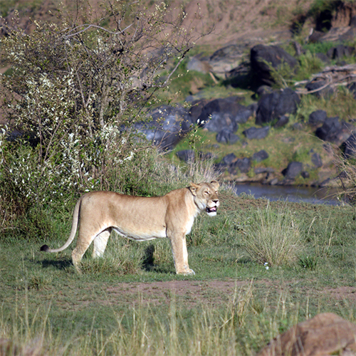 Kenya Africa